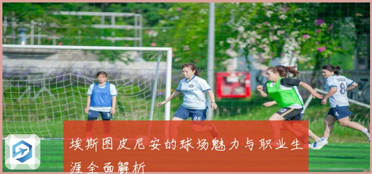 埃斯图皮尼安的球场魅力与职业生涯全面解析