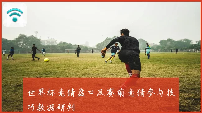 世界杯竞猜盘口及赛前竞猜参与技巧数据研判